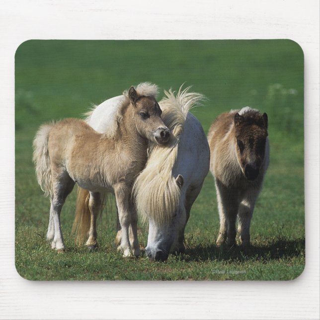 Miniature Mare & Foals 1 Mouse Pad (Front)