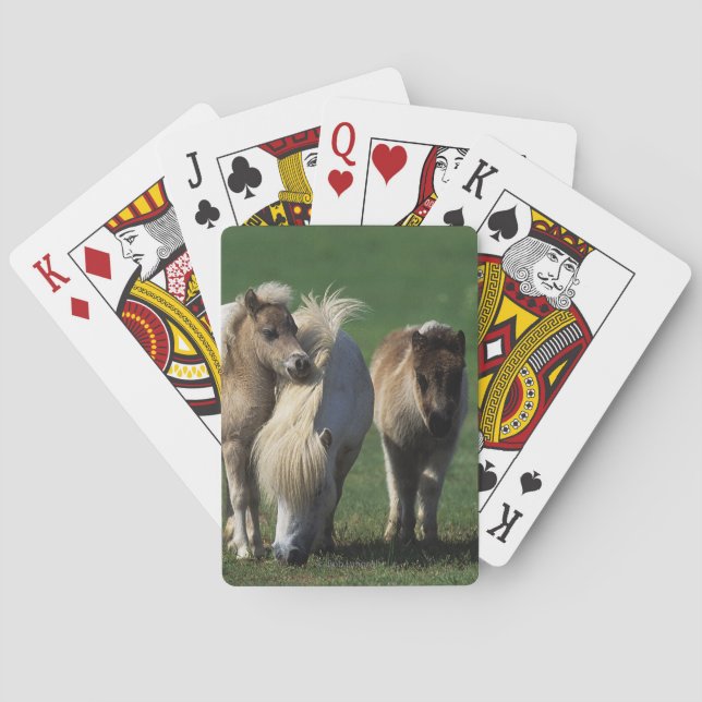 Miniature Mare & Foals 1 Poker Cards (Back)