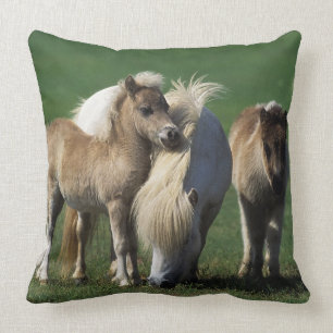 Miniature Mare & Foals 1 Throw Pillow