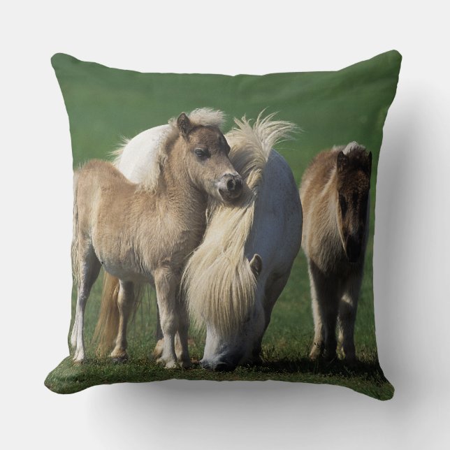 Miniature Mare & Foals 1 Throw Pillow (Front)