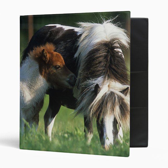 Miniature Mare & Foals 2 Binder (Front/Inside)