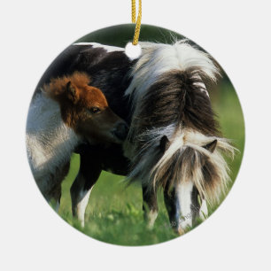 Miniature Mare & Foals 2 Ceramic Ornament