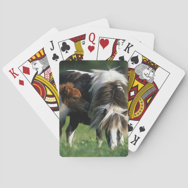 Miniature Mare & Foals 2 Poker Cards (Back)