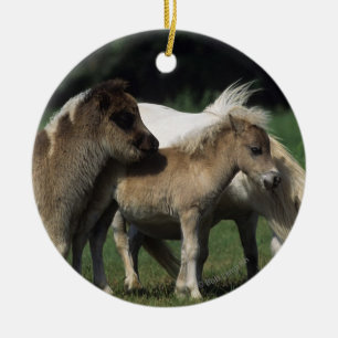 Miniature Mare & Foals 3 Ceramic Ornament
