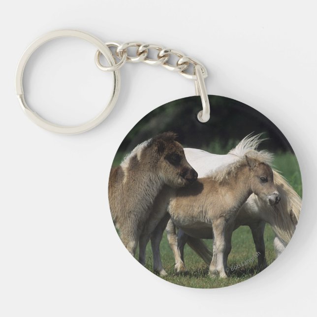 Miniature Mare & Foals 3 Keychain (Front)