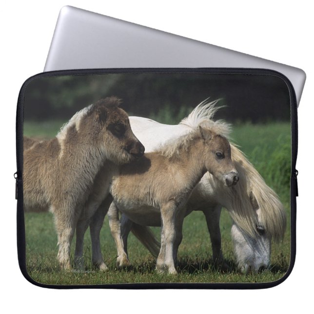 Miniature Mare & Foals 3 Laptop Sleeve (Front)