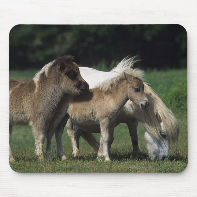 Miniature Mare & Foals 3 Mouse Pad (Front)