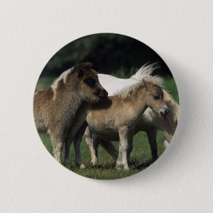 Miniature Mare & Foals 3 Pinback Button