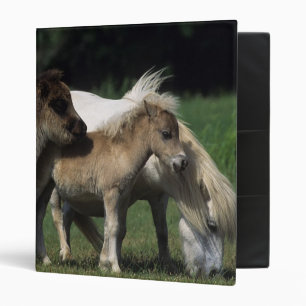 Miniature Mare & Foals 3 Ring Binder