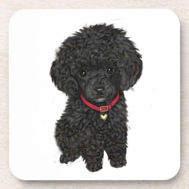 Miniature or Toy Poodle - Black 1 Drink Coaster (Front)