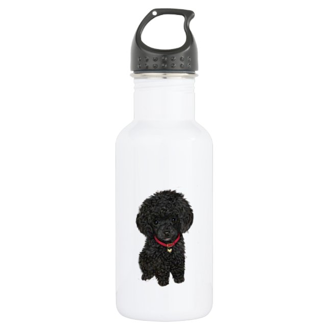 Miniature or Toy Poodle - Black 1 Water Bottle (Front)