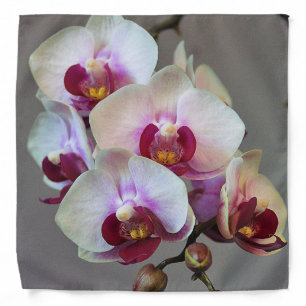 Miniature Orchid Bandana