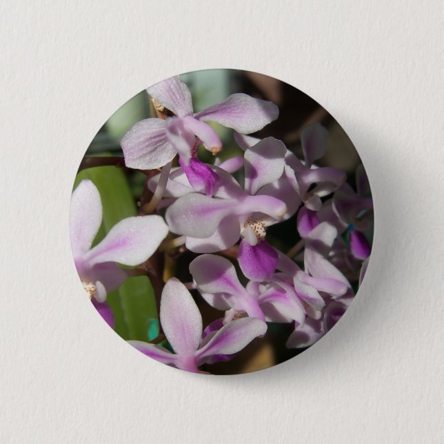miniature orchids button (Front)