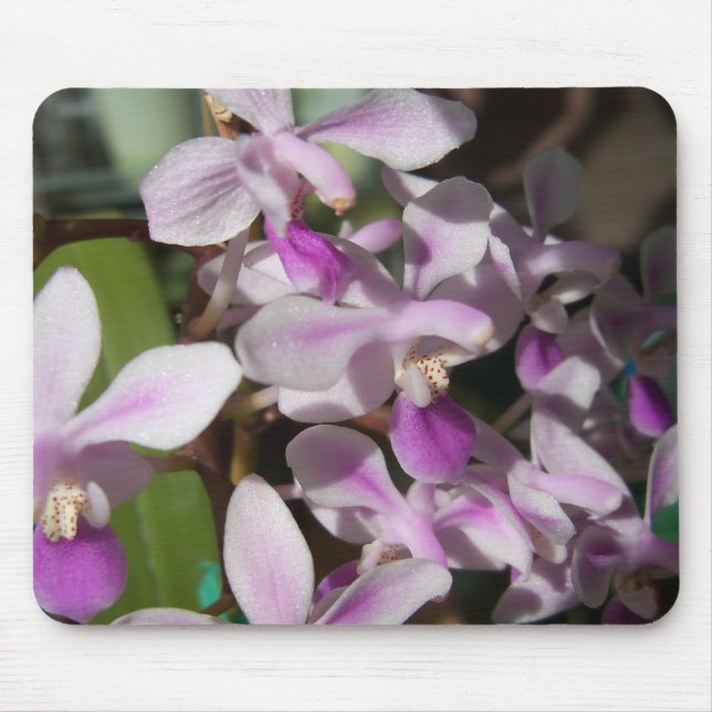 miniature orchids mouse pad (Front)