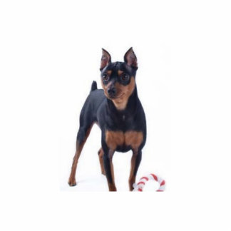 Miniature Pincher Photo Sculpture