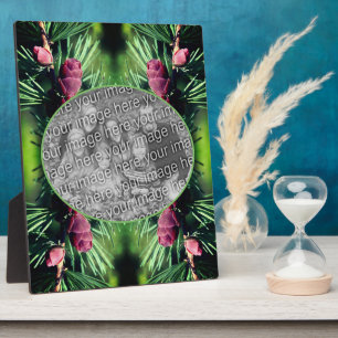 Miniature Pine Cones Add Your Own Photo Plaque
