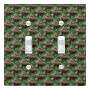 Miniature Pinecones Nature Pattern Light Switch Cover
