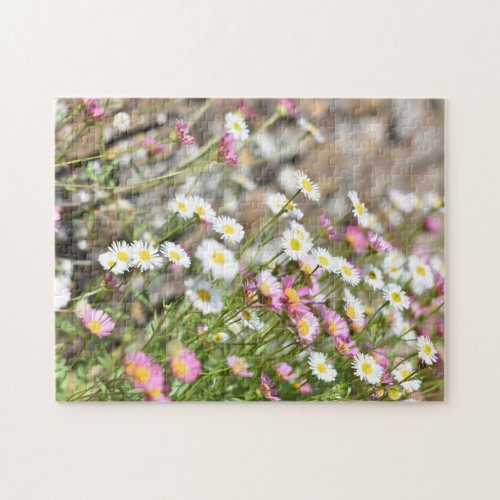 Miniature Pink White Daisies Daisy Flower Nature Jigsaw Puzzle