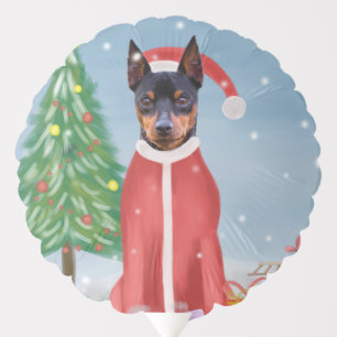 Miniature Pinsch Dog in Snow with Christmas Gifts  Balloon