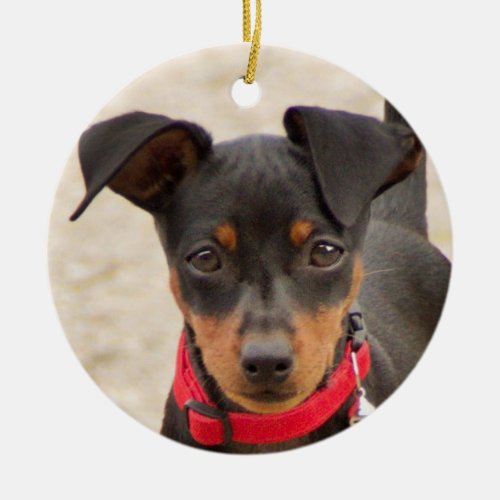 miniature_pinscher_black and rust ceramic ornament