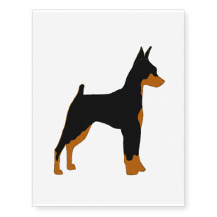 miniature pinscher black and rust silhouette temporary tattoos