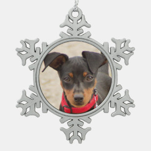miniature-pinscher-black and rust snowflake pewter christmas ornament
