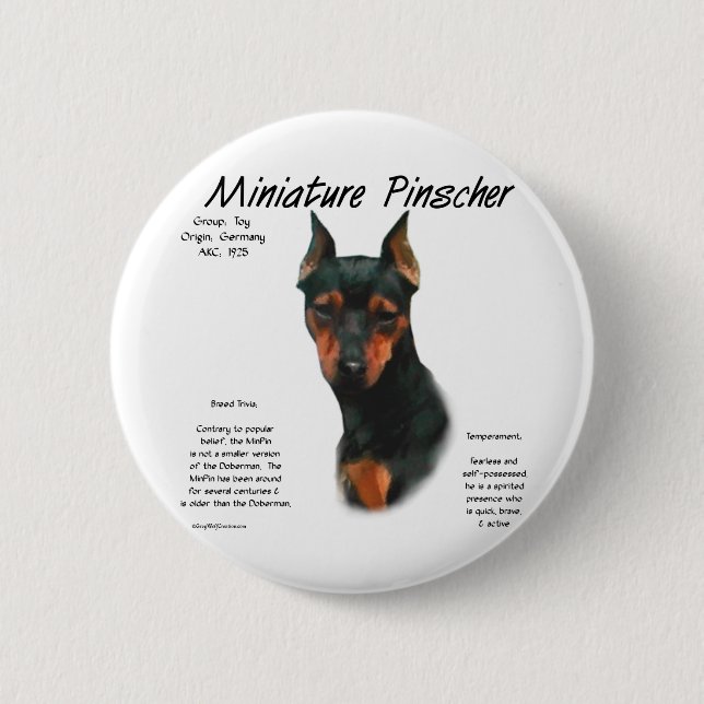 Miniature Pinscher (blk/rust) History Design Button (Front)