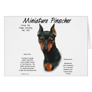 Miniature Pinscher (blk/rust) History Design Cards
