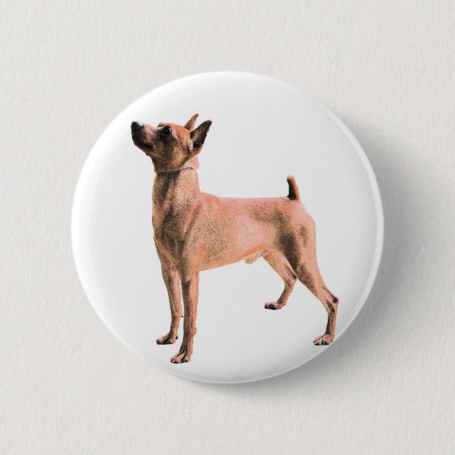 Miniature Pinscher Button (Front)