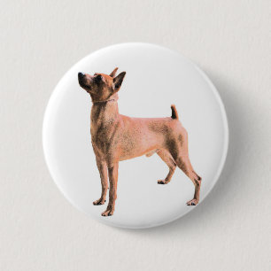 Miniature Pinscher Button
