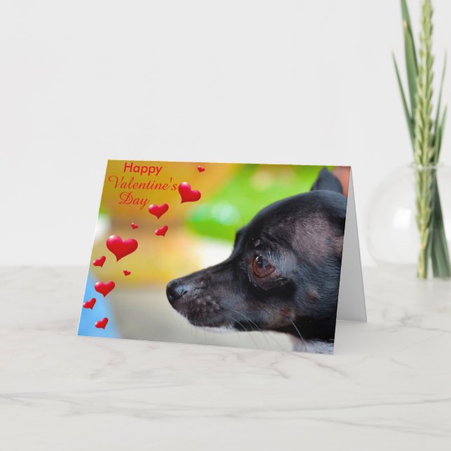 Miniature Pinscher Happy Valentine's Day Card (Front)