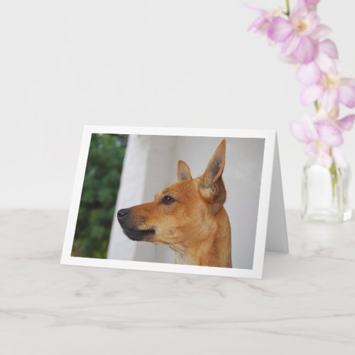 Miniature Pinscher Head Portrait Card