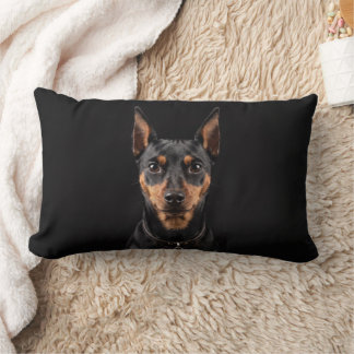 Miniature Pinscher isolated on black background Lumbar Pillow