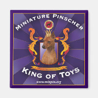 Miniature Pinscher, King of Toys
