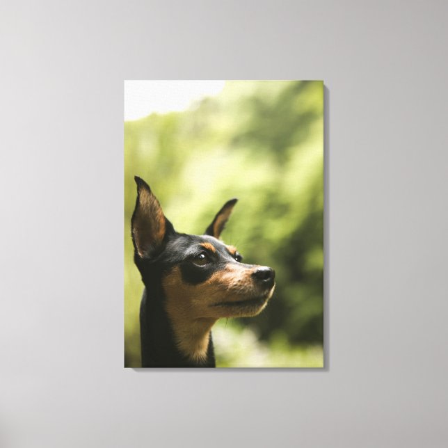 Miniature Pinscher (Min-Pin) 2 Canvas Print (Front)