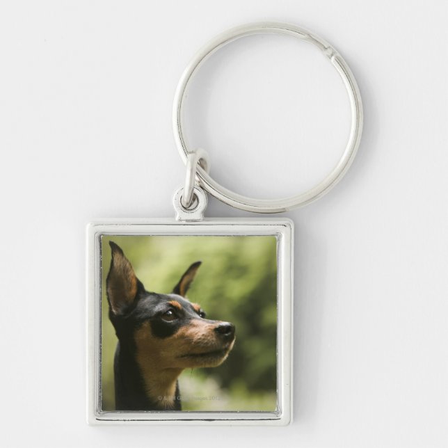 Miniature Pinscher (Min-Pin) 2 Keychain (Front)