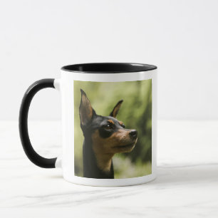 Miniature Pinscher (Min-Pin) 2 Mug