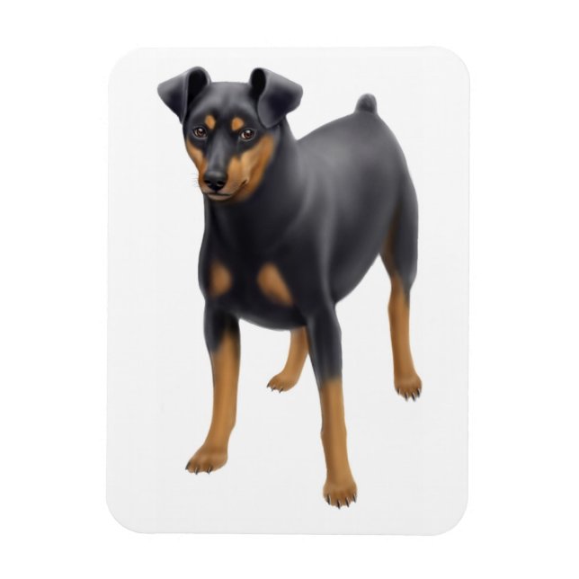 Miniature Pinscher Min Pin Premium Magnet (Vertical)