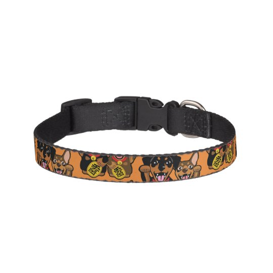 Miniature Pinscher Min Pin Small Dog Collar