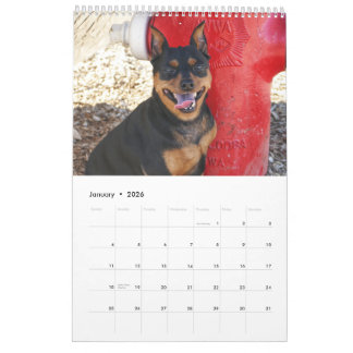 Miniature Pinscher One Calendar