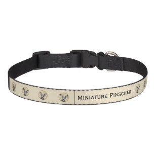 Miniature Pinscher Painting Cute Original Dog Art Pet Collar