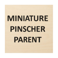 miniature pinscher parent no pic