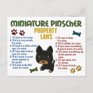Miniature Pinscher Property Laws 4 Postcard