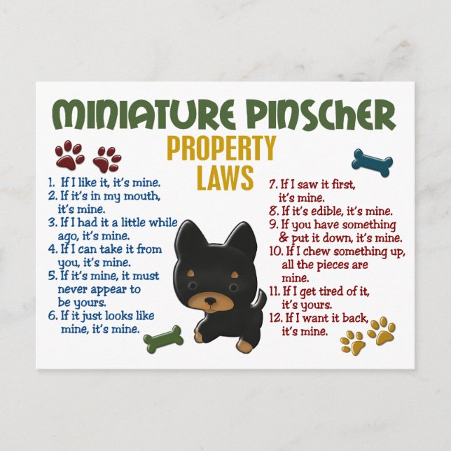 Miniature Pinscher Property Laws 4 Postcard (Front)