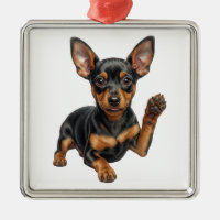 Miniature Pinscher Puppy Min Pin Dog Dad Mom Hello