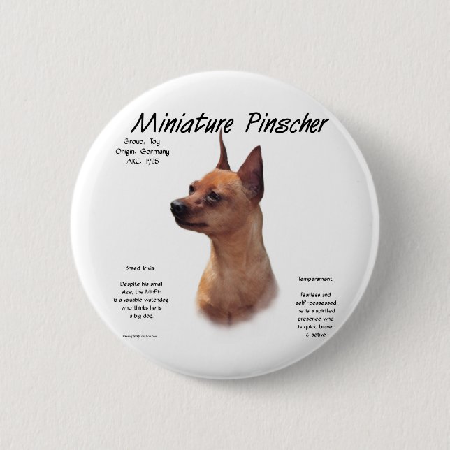 Miniature Pinscher (red) History Design Button (Front)