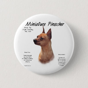 Miniature Pinscher (red) History Design Button