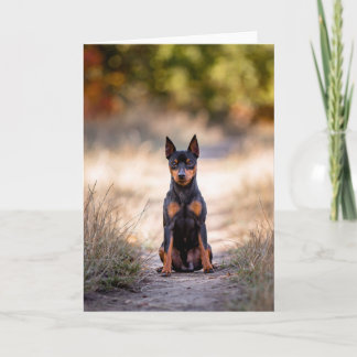 Miniature Pinscher Sitting Card