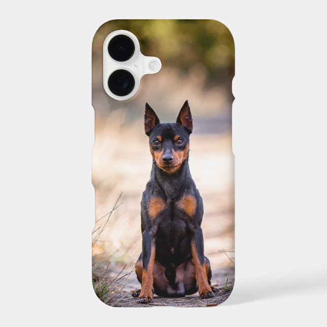 Miniature Pinscher Sitting Case-Mate iPhone Case (Back)