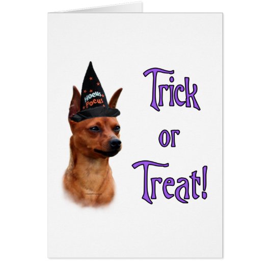 Miniature Pinscher Trick Cards (Front)